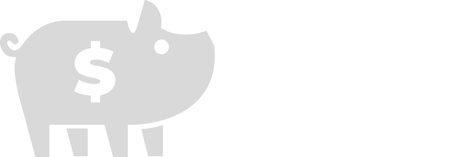 Dinheiro na Prática